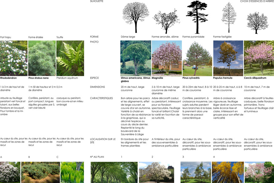 ./images/Projets/17/10VALBE.jpg/