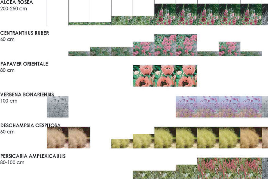 ./images/Projets/3/4DIFF.jpg/